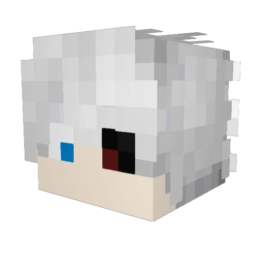 Saiko_MC Minecraft avatar head, 3D render