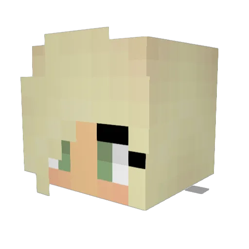 Sail4ever Minecraft avatar head, 3D render