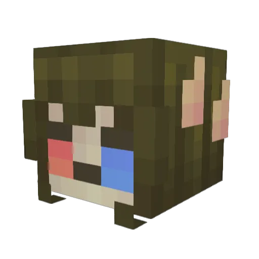 SailRabbit Minecraft avatar head, 3D render