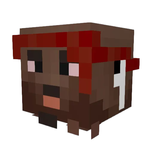 Saileen187 Minecraft avatar head, 3D render