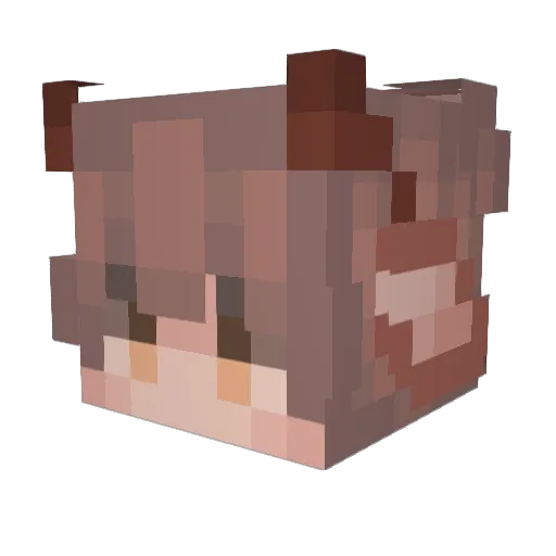 SailorFroggy Minecraft avatar head, 3D render