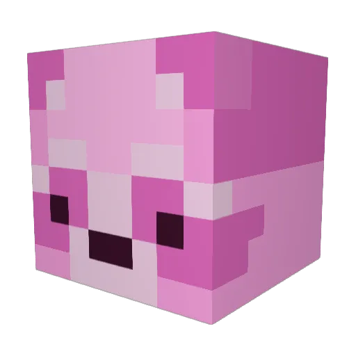 SailorRacoon Minecraft avatar head, 3D render