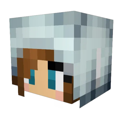 Sailor_4Moon Minecraft avatar head, 3D render