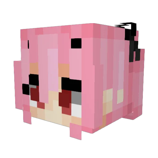 Sailun Minecraft avatar head, 3D render