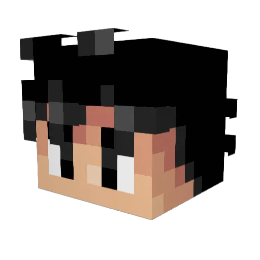 Saimon20 Minecraft avatar head, 3D render