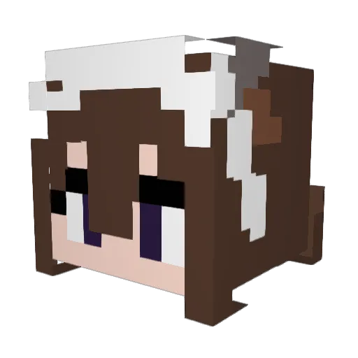 Sainalynn Minecraft avatar head, 3D render