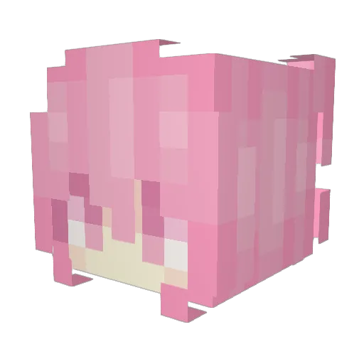 Saini Minecraft avatar head, 3D render