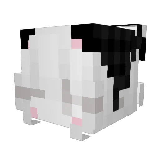 Sainrex Minecraft avatar head, 3D render
