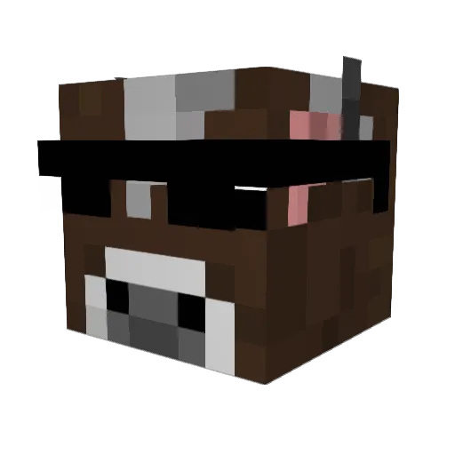 SaintAlex66 Minecraft avatar head, 3D render