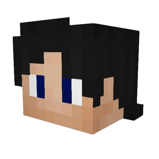 SaintJames101 Minecraft avatar head, 3D render