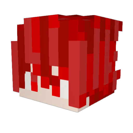 SaintMaverick Minecraft avatar head, 3D render