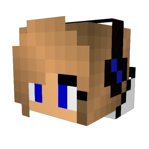 SaintPaint228 Minecraft avatar head, 3D render