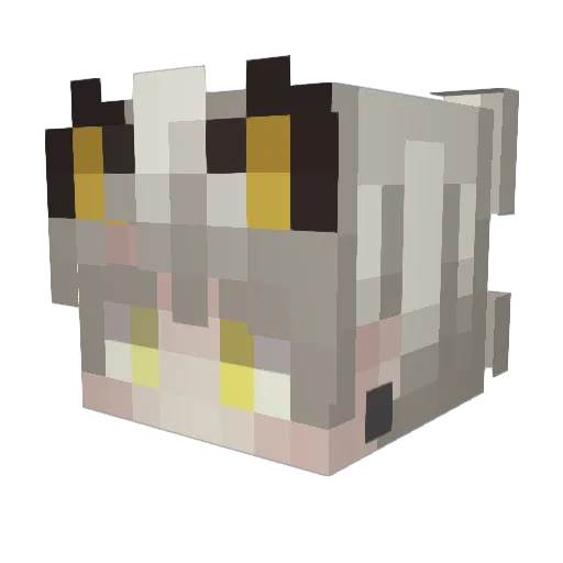 SaintSage Minecraft avatar head, 3D render