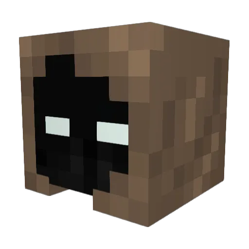 SaintTroi Minecraft avatar head, 3D render