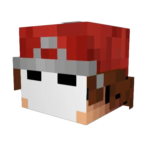 Saintriley Minecraft avatar head, 3D render