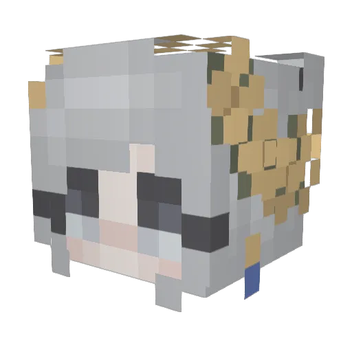 Saintthecat Minecraft avatar head, 3D render