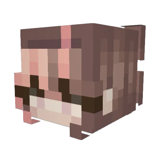 Saip2ts Minecraft avatar head, 3D render