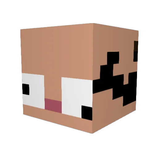 SairLEX Minecraft avatar head, 3D render
