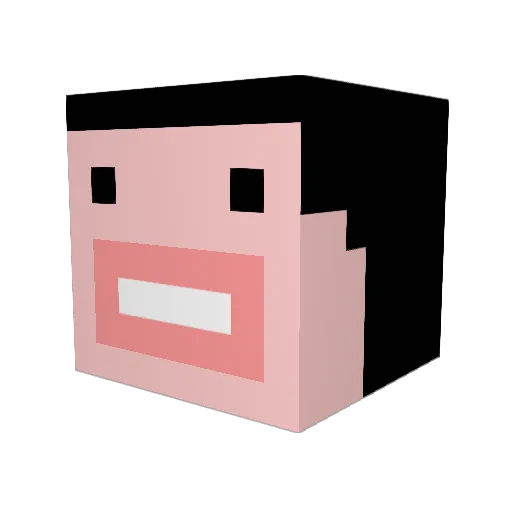 SaireiNH Minecraft avatar head, 3D render