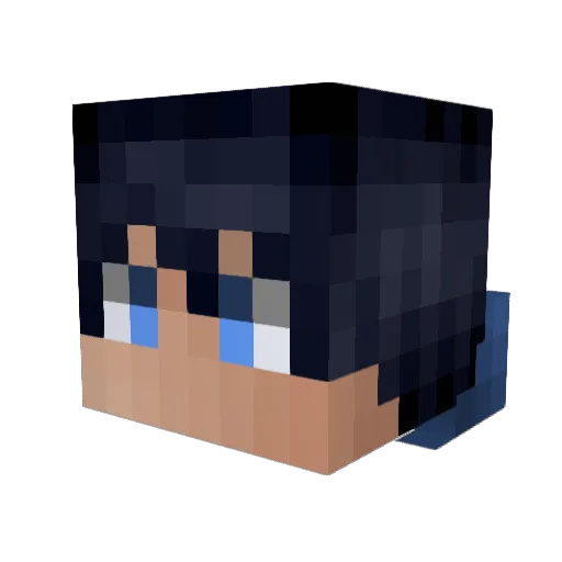 Saito111 Minecraft avatar head, 3D render