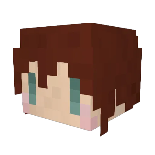 SaitoLemon Minecraft avatar head, 3D render