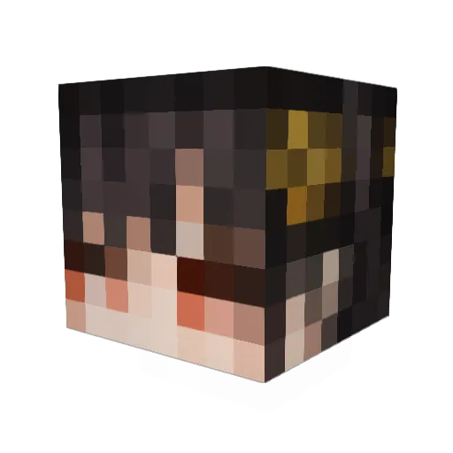 SaitoOnyx Minecraft avatar head, 3D render