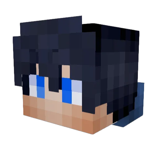 SaitoWolf4 Minecraft avatar head, 3D render