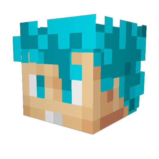 SaiyanSquidy Minecraft avatar head, 3D render