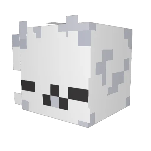 SaiyunnDingus Minecraft avatar head, 3D render