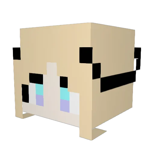 Saizakika Minecraft avatar head, 3D render