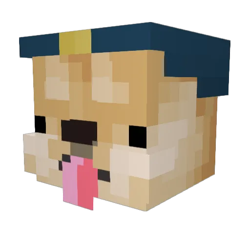 Sajeetan Minecraft avatar head, 3D render