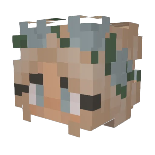Sajefc Minecraft avatar head, 3D render