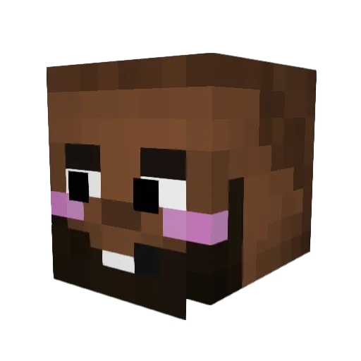 Sajid200 Minecraft avatar head, 3D render