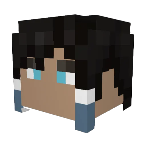 Sajination Minecraft avatar head, 3D render