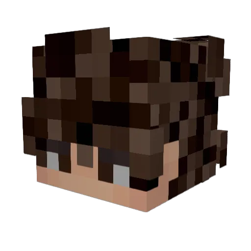 Sajmi_ho Minecraft avatar head, 3D render