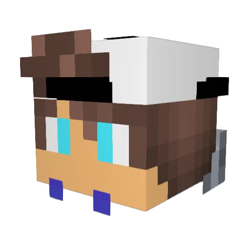 Sajmon262 Minecraft avatar head, 3D render