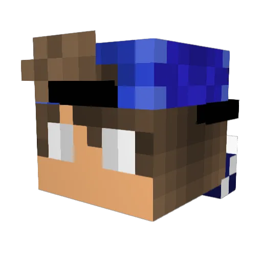 Sajmonek3310 Minecraft avatar head, 3D render