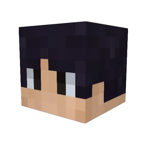 Sak_Snacks Minecraft avatar head, 3D render