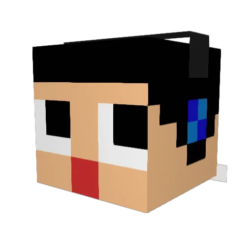 Sakagucci Minecraft avatar head, 3D render
