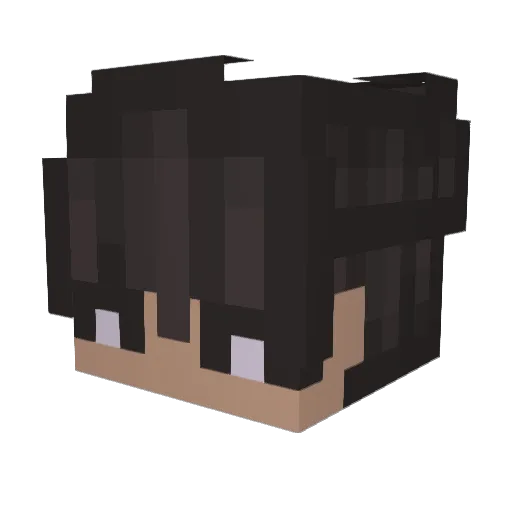 SakaidoSensei Minecraft avatar head, 3D render