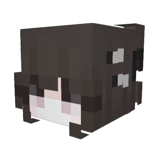 Sakana0745 Minecraft avatar head, 3D render