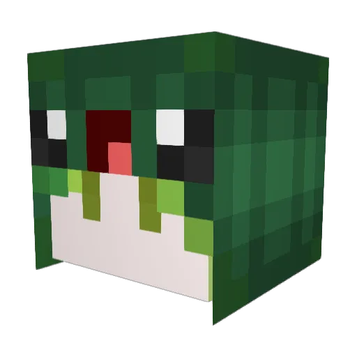 Sakanaf Minecraft avatar head, 3D render