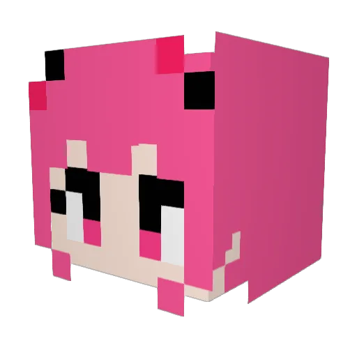 Sakanakundes4 Minecraft avatar head, 3D render