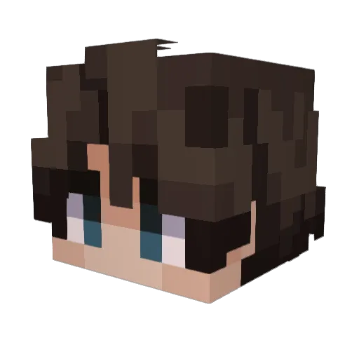 Sakanasamaa Minecraft avatar head, 3D render