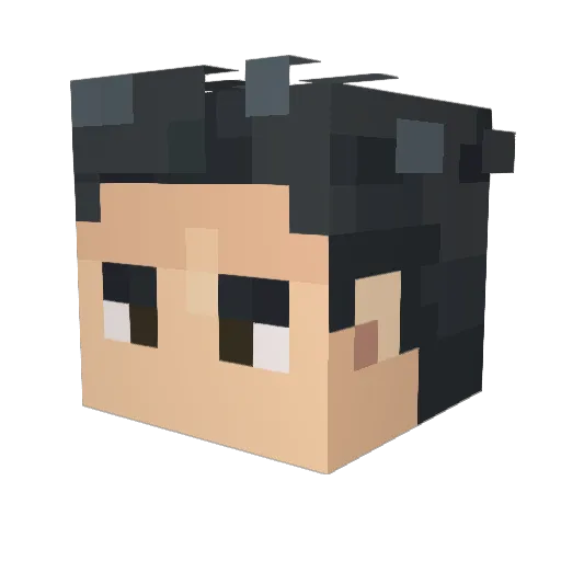 Sakanu Minecraft avatar head, 3D render
