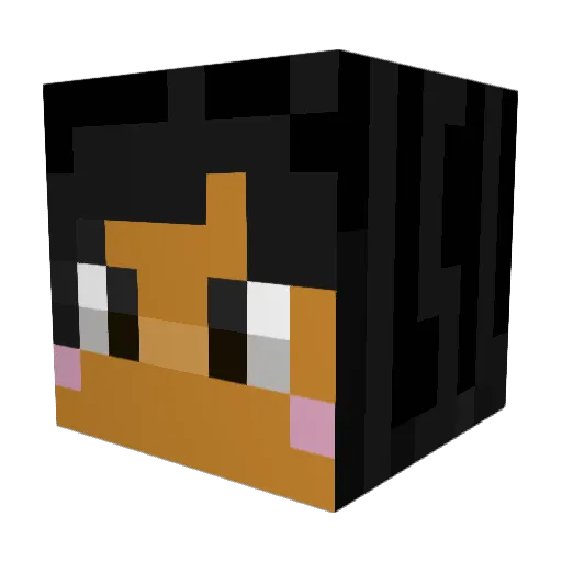 Sakari119 Minecraft avatar head, 3D render