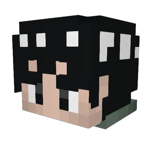 SakariasHolm Minecraft avatar head, 3D render