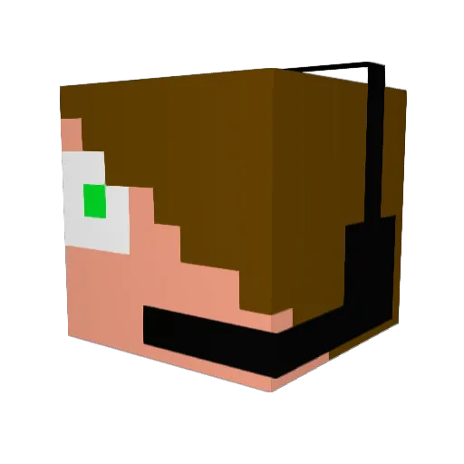 Sakesto Minecraft avatar head, 3D render