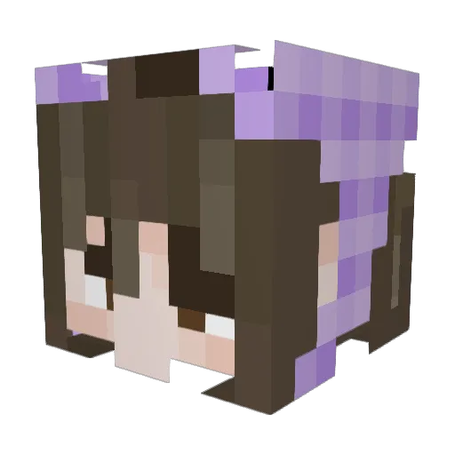 Saki2009 Minecraft avatar head, 3D render