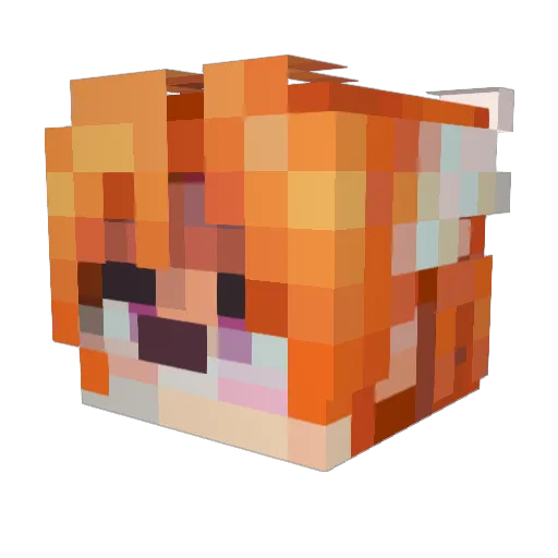 SakiMcGee Minecraft avatar head, 3D render